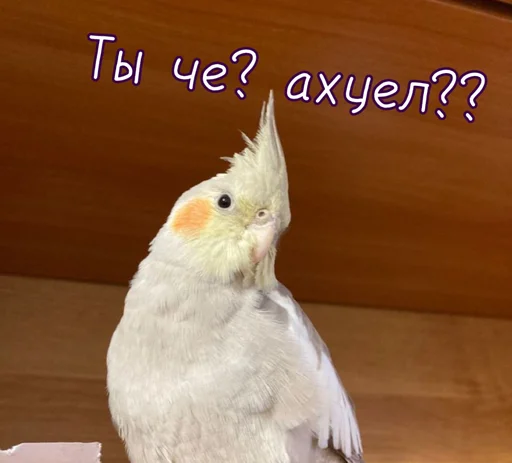 Эмодзи Тю блин: Зверюшки