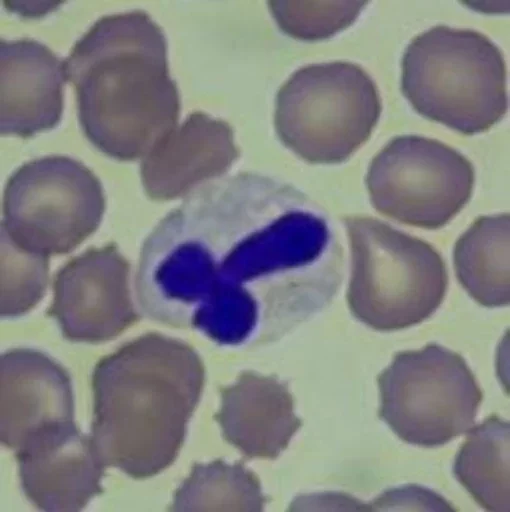 Эмодзи Blood mood