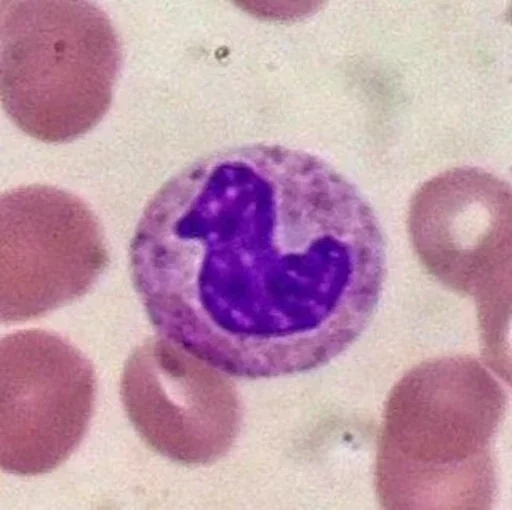 Эмодзи Blood mood