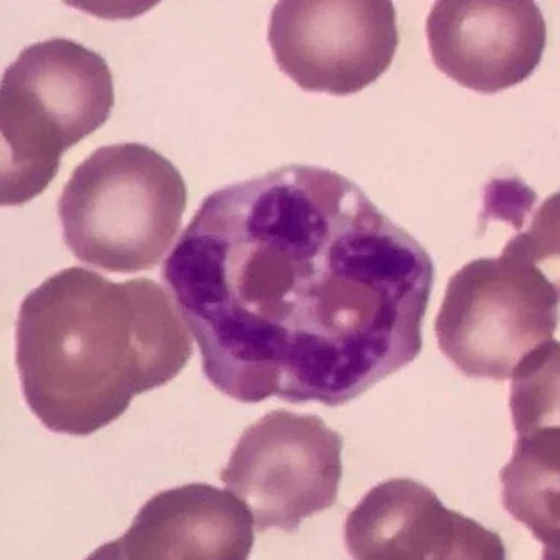 Эмодзи Blood mood