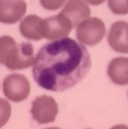 Эмодзи Blood mood