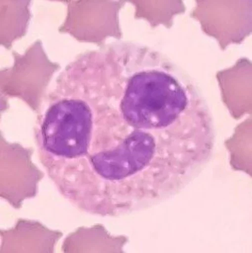 Эмодзи Blood mood