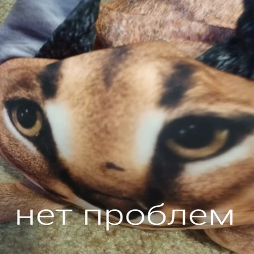 Эмодзи Блоптоп 10-летки