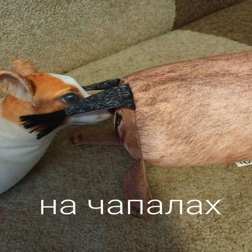 Эмодзи Блоптоп 10-летки