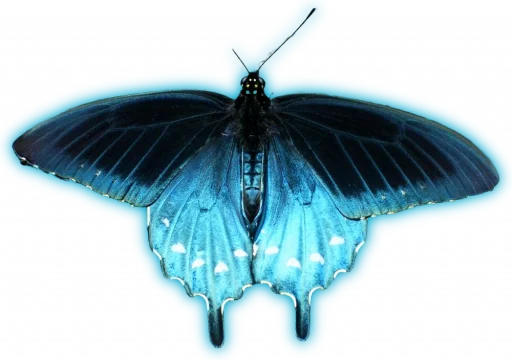 Эмодзи Blue mixed