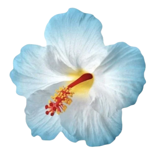 Эмодзи Blue mixed