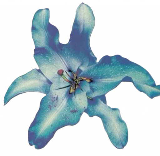 Эмодзи Blue mixed