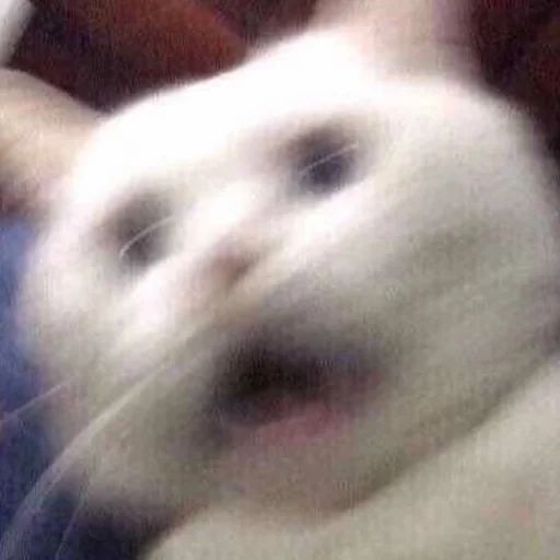 Эмодзи Bluepants 的私藏 (1)