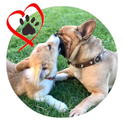 Эмодзи Bob Marley??The Frenchies