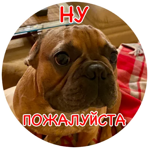 Эмодзи Bob Marley??The Frenchies