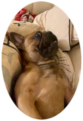 Эмодзи Bob Marley??The Frenchies