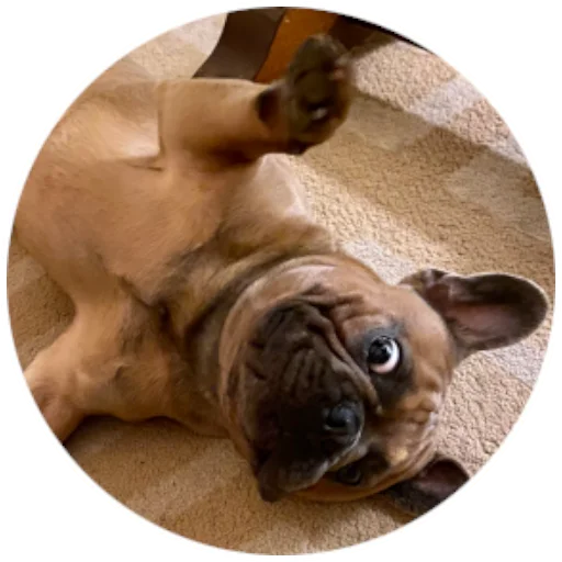 Эмодзи Bob Marley??The Frenchies