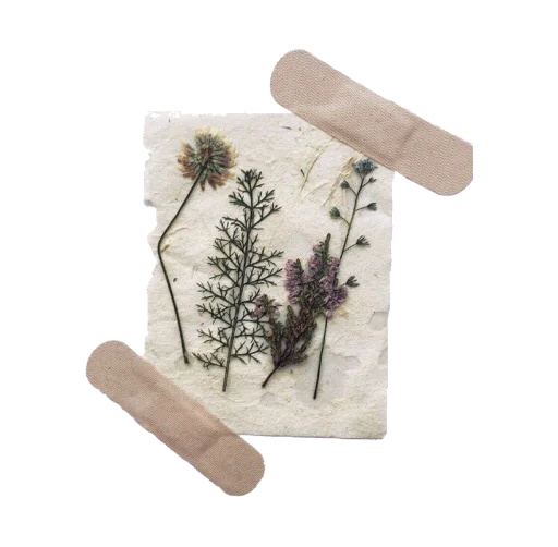 Эмодзи Фразы