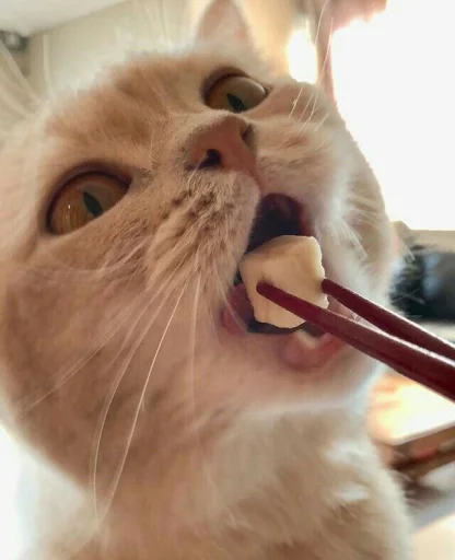 Эмодзи BOH, SONO IO