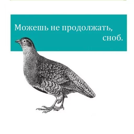 Эмодзи Bookshelf Memes