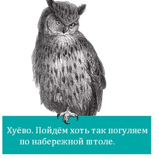 Эмодзи Bookshelf Memes