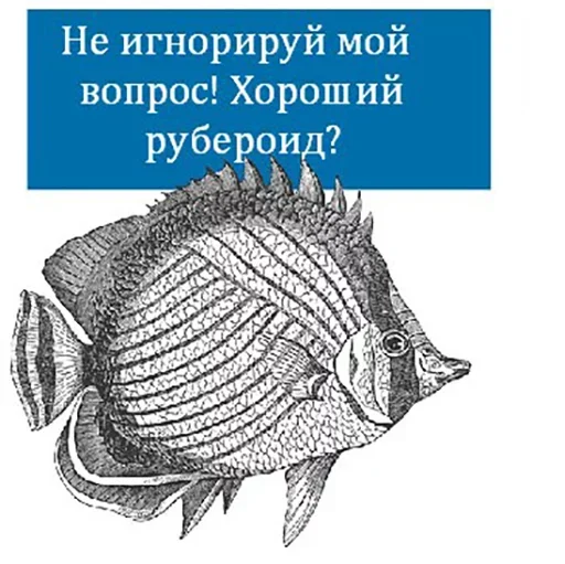 Эмодзи Bookshelf Memes
