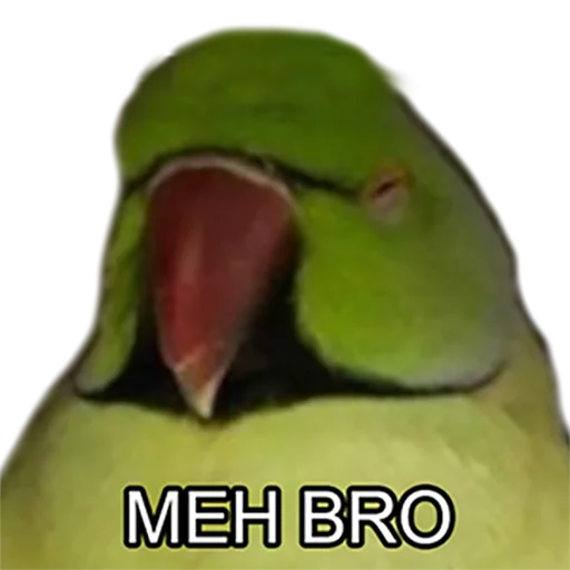 Эмодзи Bro Parrot