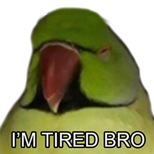 Эмодзи Bro Parrot