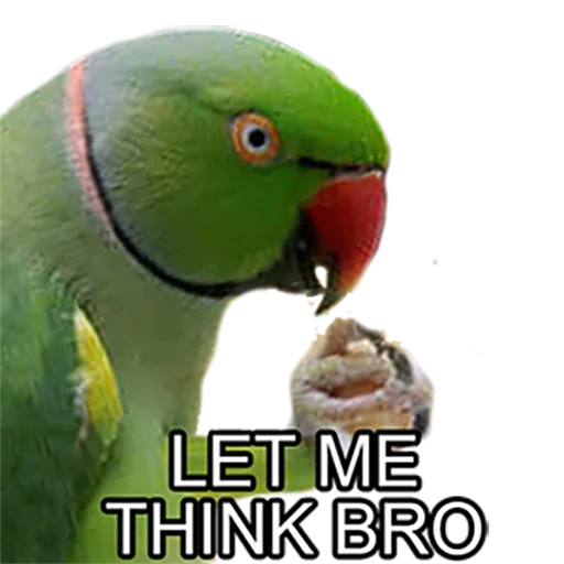 Эмодзи Bro Parrot