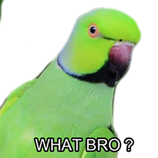 Эмодзи Bro Parrot