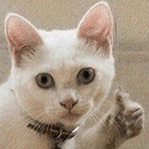 Эмодзи Broken Cats