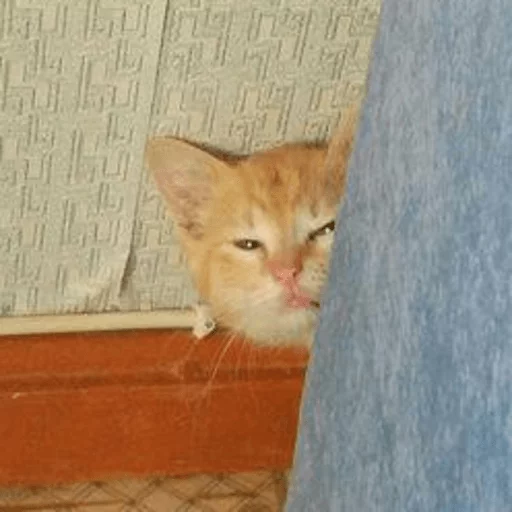 Эмодзи Broken Cats