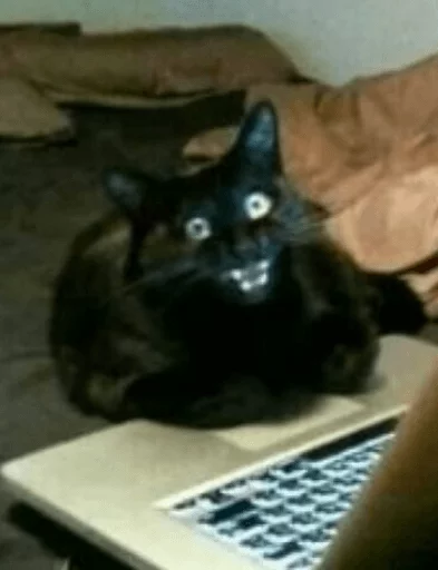 Эмодзи Broken Cats