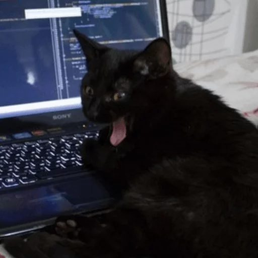 Эмодзи Broken Cats