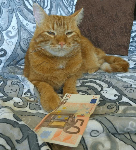 Эмодзи Broken Cats