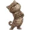 Эмодзи Коричневый котик