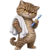 Эмодзи Коричневый котик