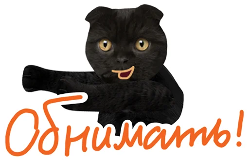 Эмодзи Кот Бублик