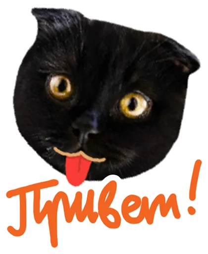 Эмодзи Кот Бублик