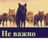 Эмодзи Be a wolf