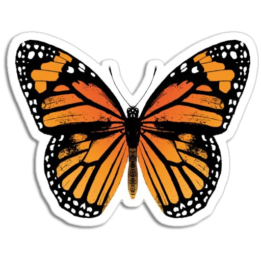 Эмодзи Butterfly ਤਿਤਲੀ