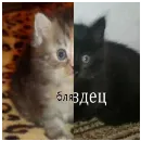 Эмодзи Dungeon of cum