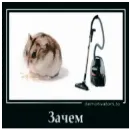 Эмодзи Dungeon of cum