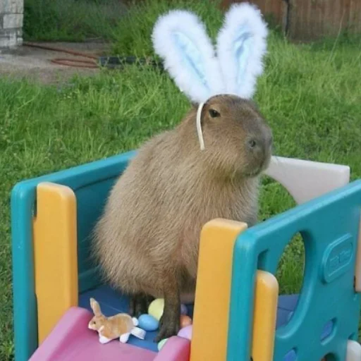 Эмодзи CapybaRa