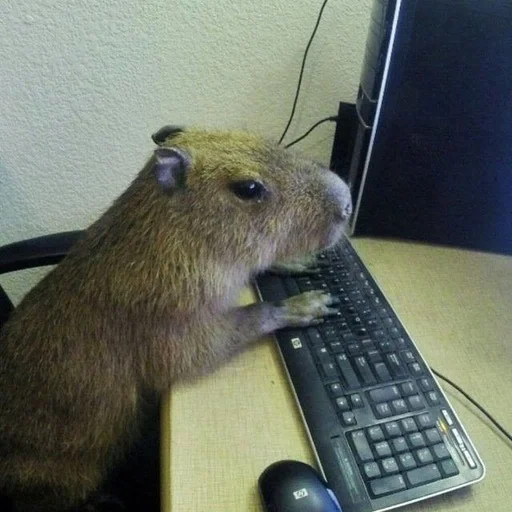 🖥