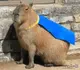 Эмодзи Capybara