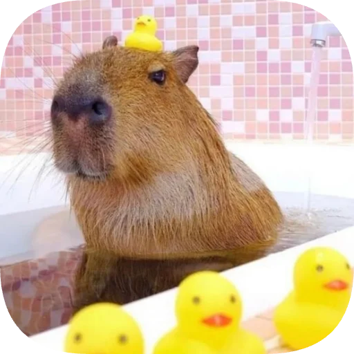 Эмодзи Капибарность