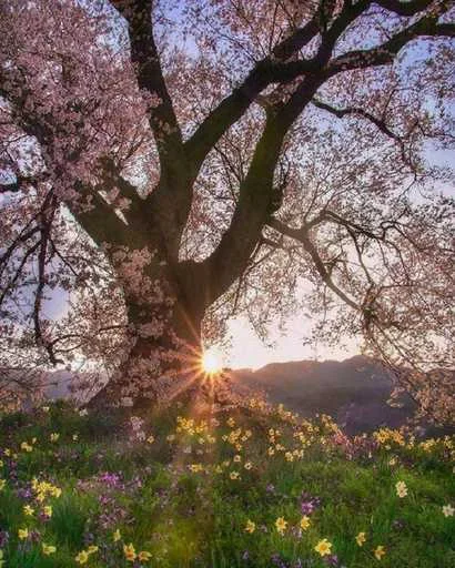 Эмодзи Castle Of Music Love music