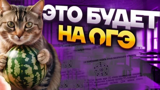 Эмодзи Cat And Watermelon