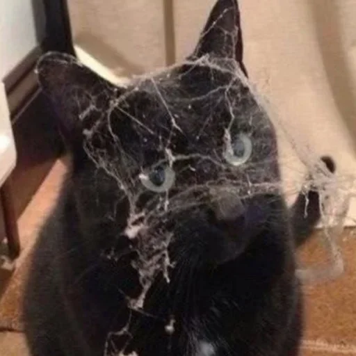 Эмодзи Cat Emoji