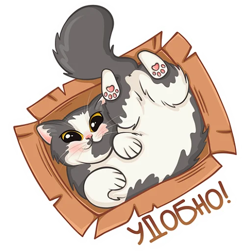 😺