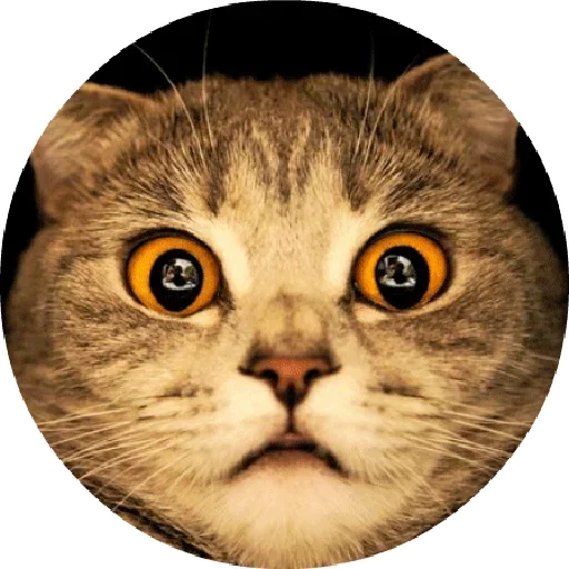 ?
