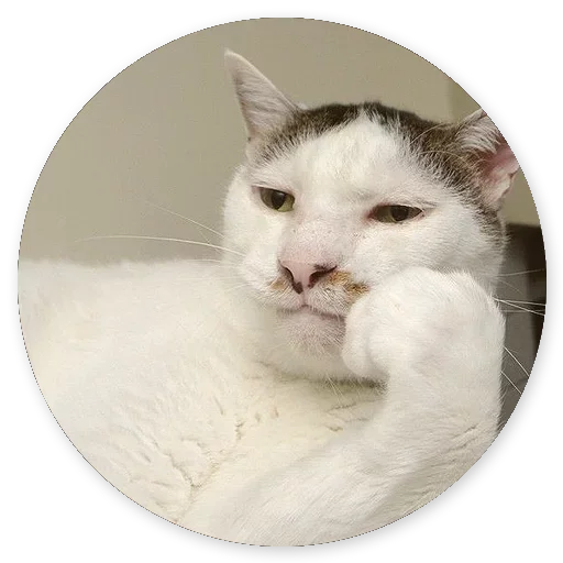 Эмодзи Котики и Кошечки 2