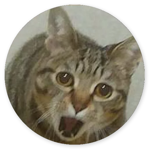 Эмодзи Котики и Кошечки 2