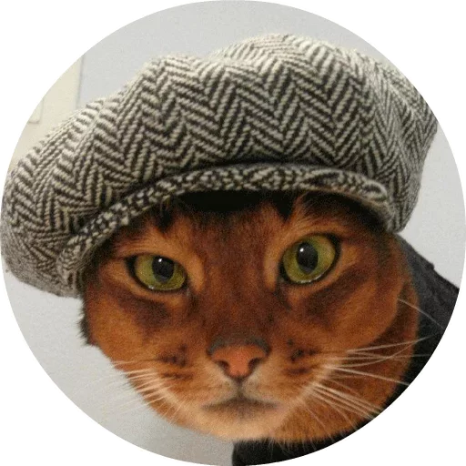 Эмодзи Котики и Кошечки